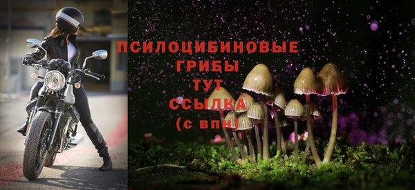 скорость Вязьма