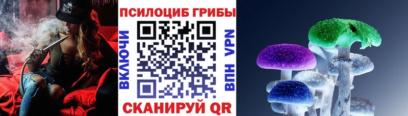 Псилоцибиновые грибы Cubensis  Елизаветинская 